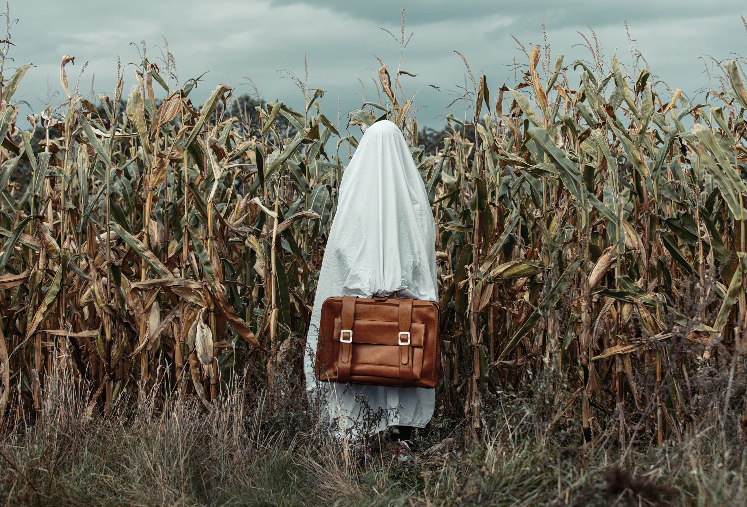 A person covered in a white sheet stands in a cornfield holding a briefcase